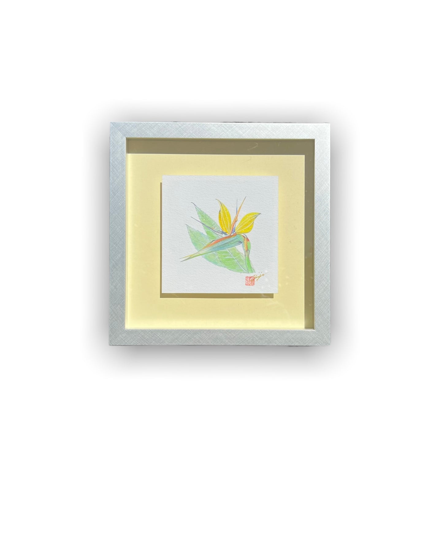 極楽鳥花 Floating Art