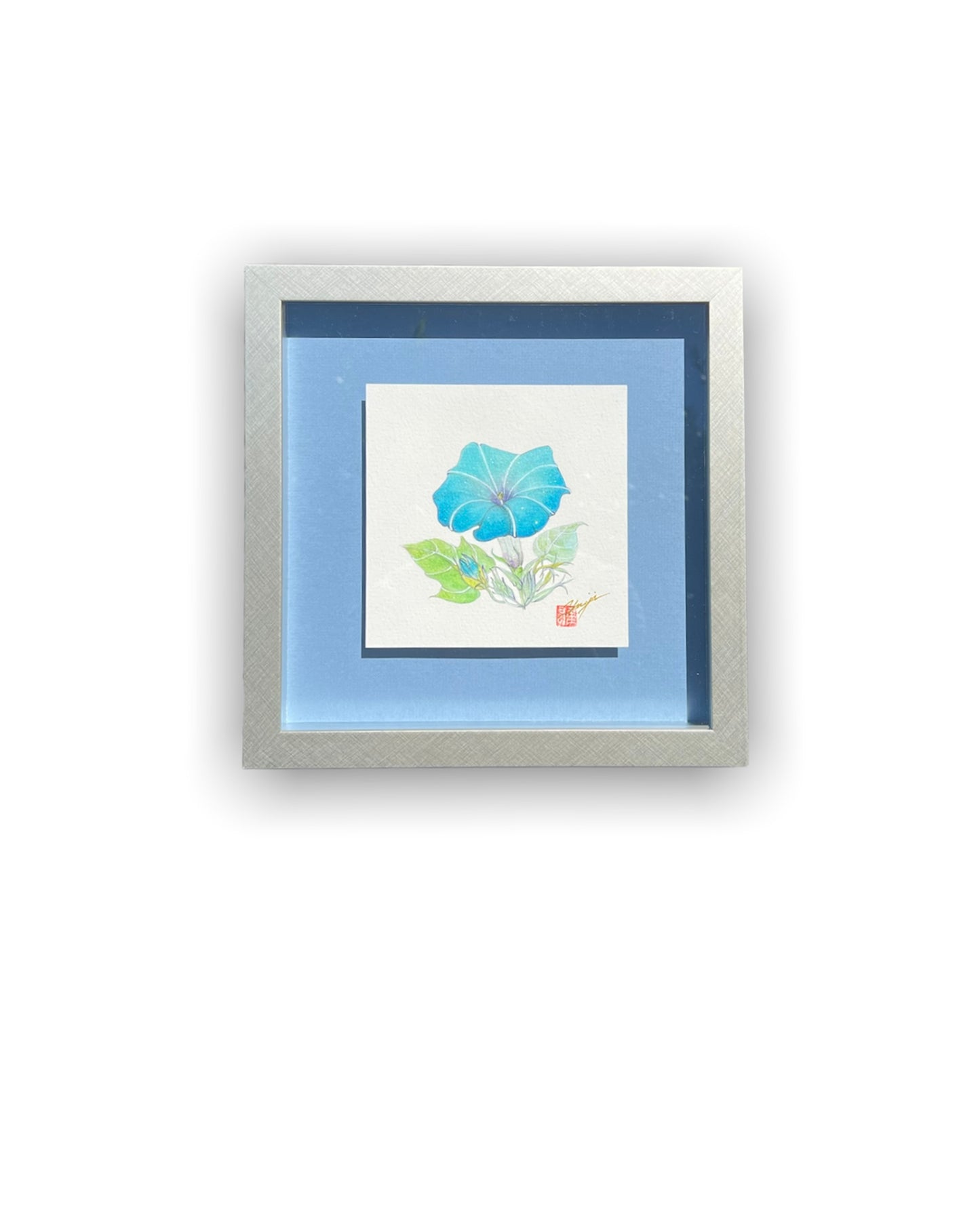 あさがお Floating Art