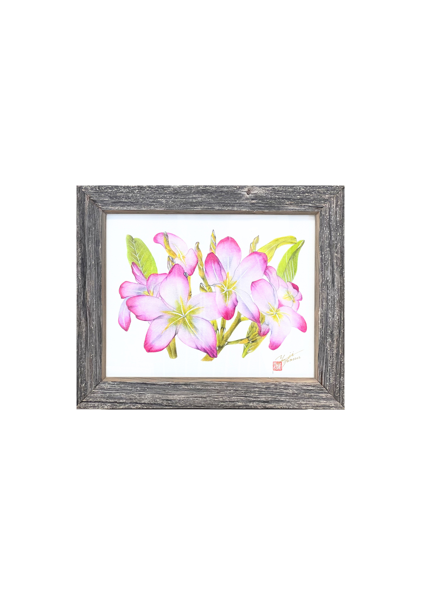 ピンクプルメリア