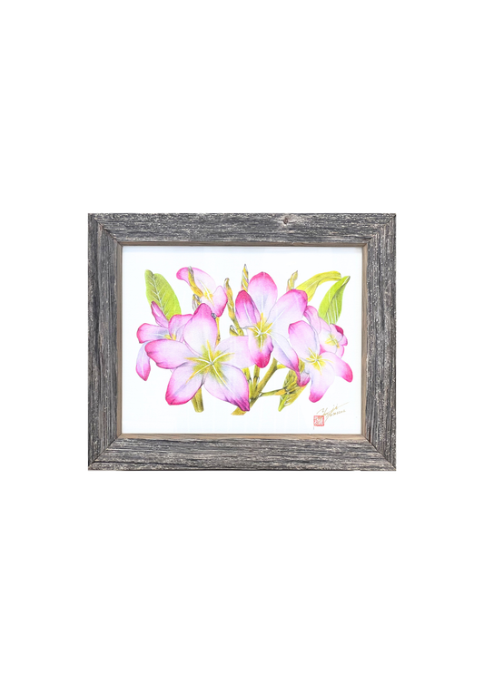 ピンクプルメリア