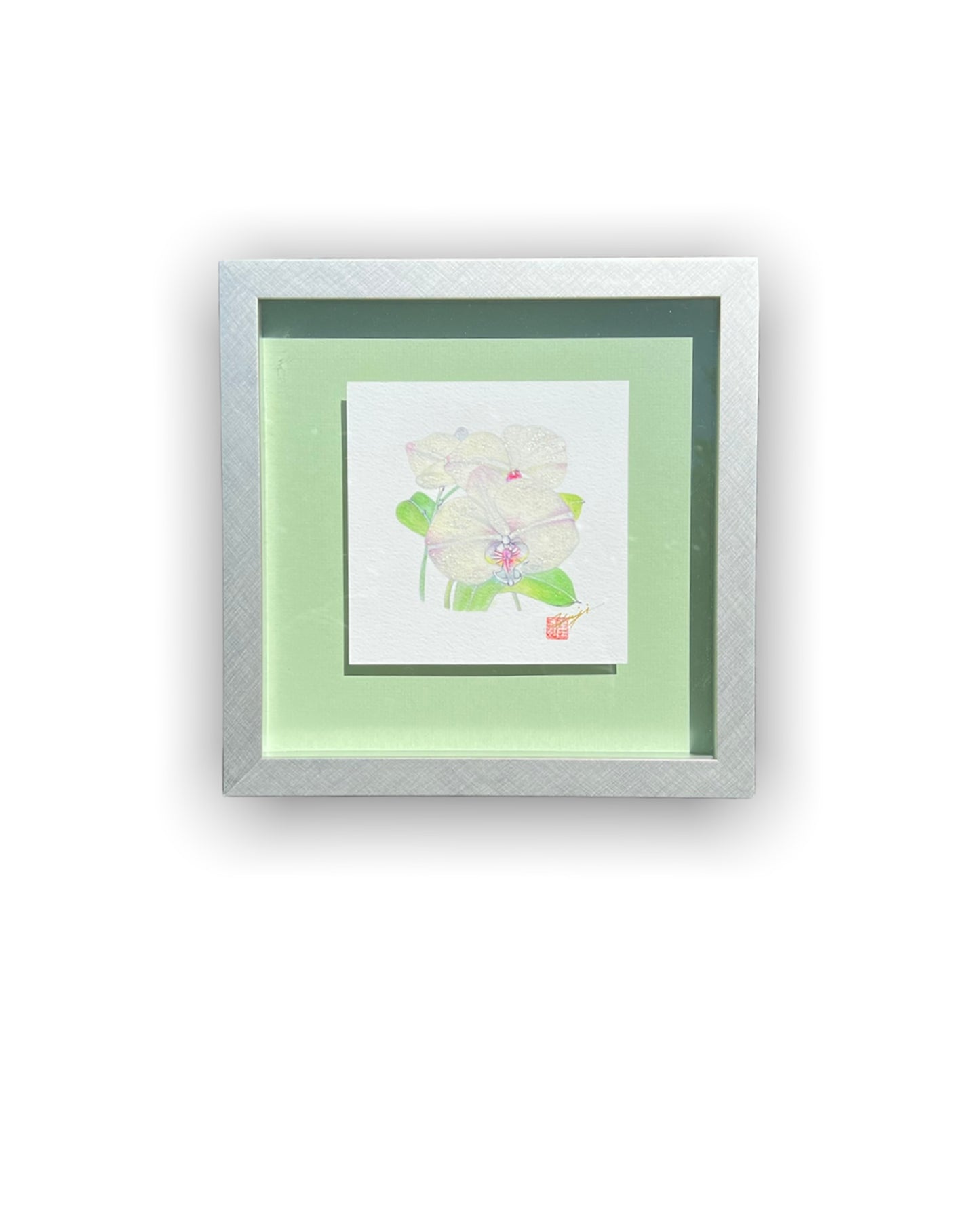 胡蝶蘭 和紙 Floating Art